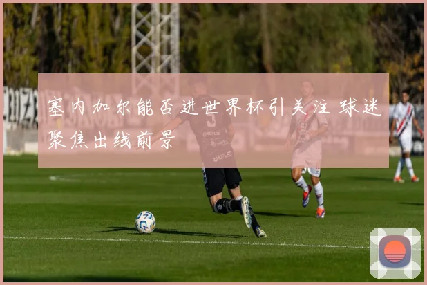 塞内加尔能否进世界杯引关注 球迷聚焦出线前景